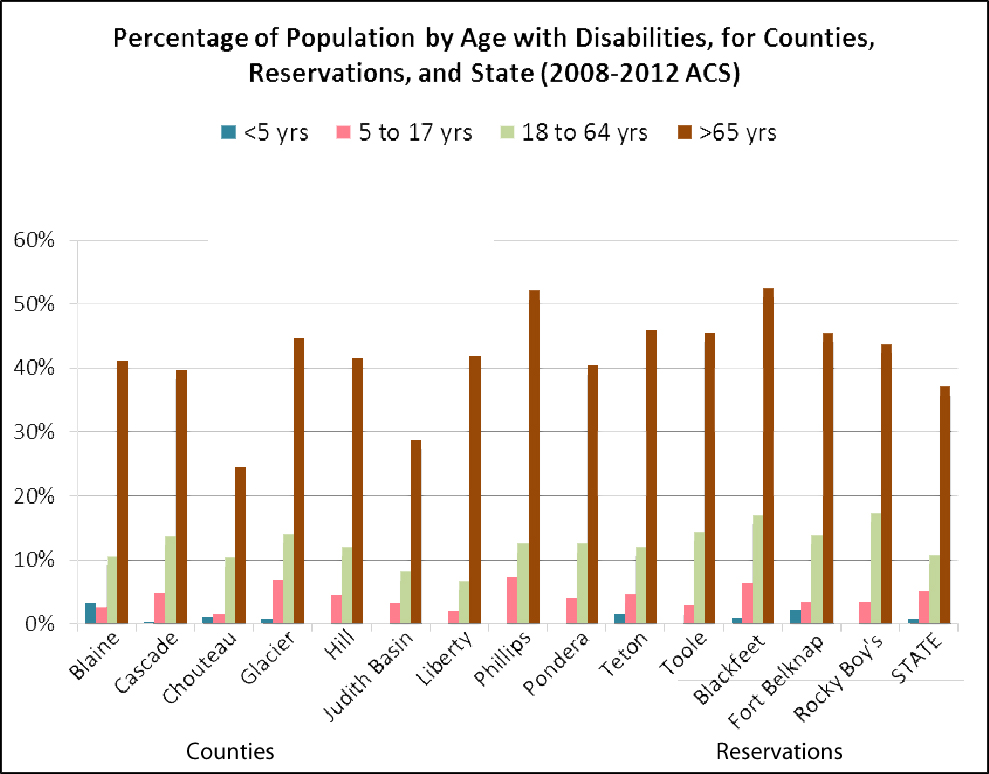 Disability Population By Age